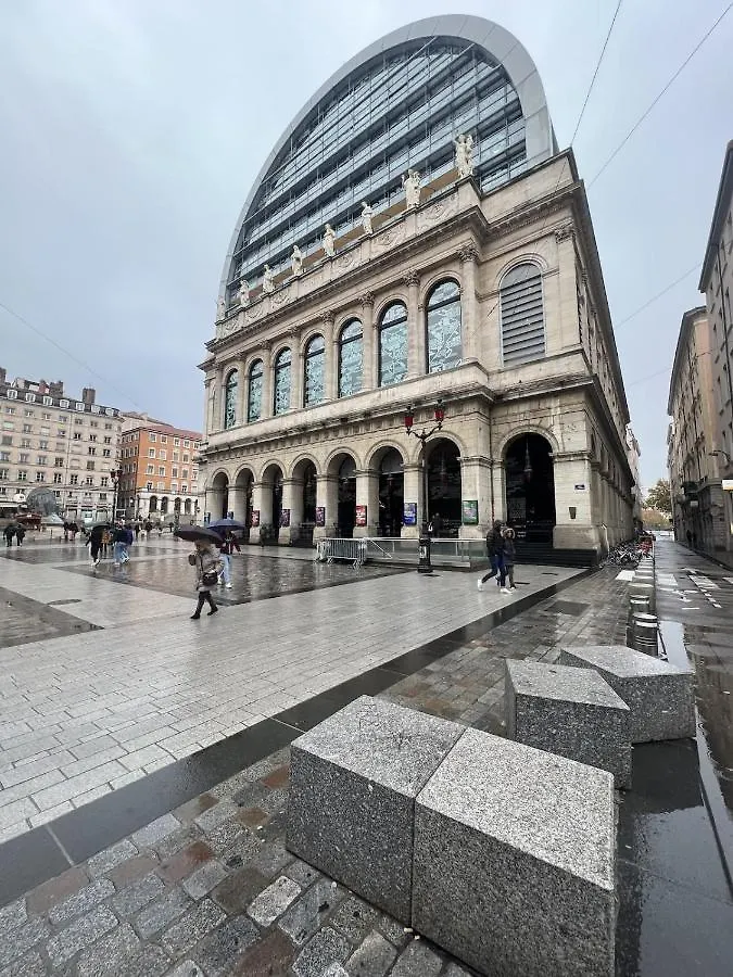 Le Petit Luigini-Studio Cosy-Hotel De Ville Opera リヨン アパート